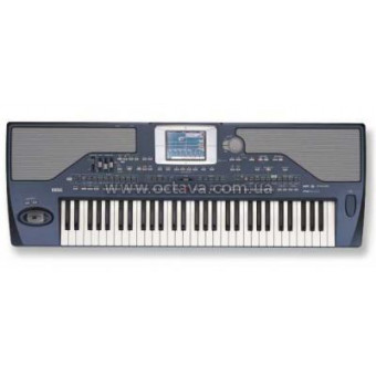 Синтезатор Korg PA800