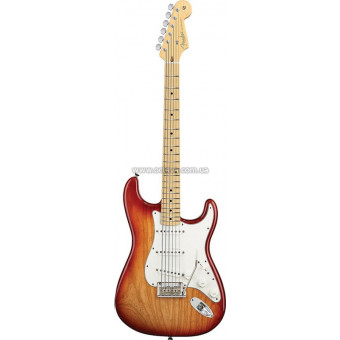 Электрогитара Fender American Standard Stratocaster SS