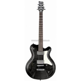 Электрогитара Framus Tennessee Custom Bk B