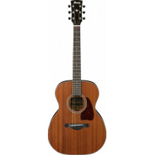 Акустична гітара Ibanez AC240 OPN