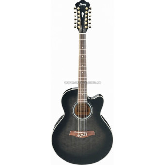 Электроакустическая гитара Ibanez AEL2012E TKS
