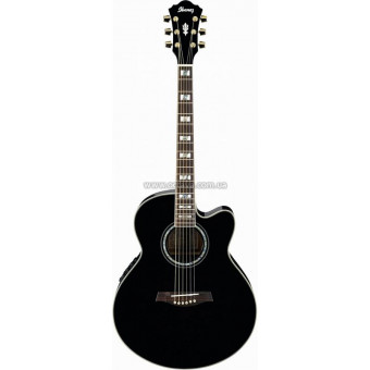 Электроакустическая гитара Ibanez AEL30SE BK Электроакустическая гитара Ibanez AEL30SE BK