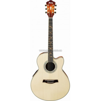 Электроакустическая гитара Ibanez AEL40SE RLV
