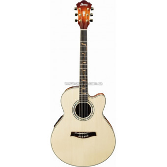 Электроакустическая гитара Ibanez AEL40SE RLV