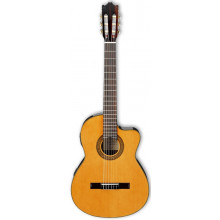 Классическая гитара с пьезозвукоснимателем Ibanez G5ECE AM