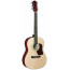 Акустическая гитара Maxtone WGC3902