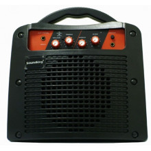 Гитарный комбик Soundking SKAK15G