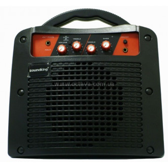 Комбік Soundking SKAK15G