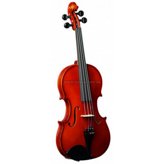 Скрипка Strunal 205wA