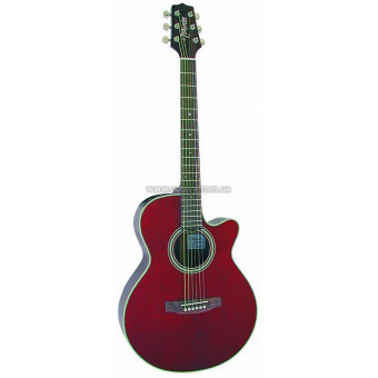 Электроакустическая гитара Takamine EG260 C WR