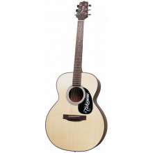 Акустична гітара Takamine G220