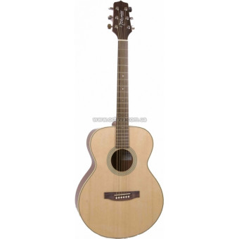 Takamine G260