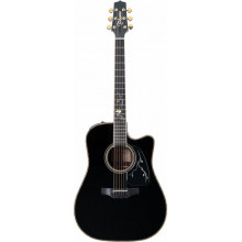 Електроакустична гітара Takamine LTD2012 MICHI