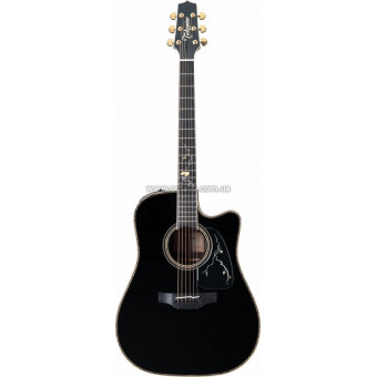 Электроакустическая гитара Takamine LTD2012 MICHI