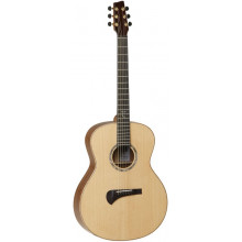 Электроакустическая гитара Tanglewood TSM1