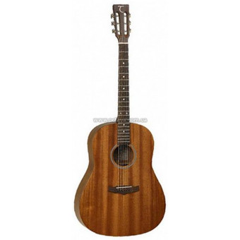 Tanglewood TW138 ASM SD