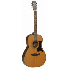 Акустическая гитара Tanglewood TW173