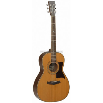 Tanglewood TW173