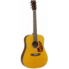 Электроакустическая гитара Tanglewood TW40 D AN E