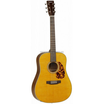 Електроакустична гітара Tanglewood TW40 D AN E