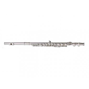 Флейта Maxtone TFC47S-A
