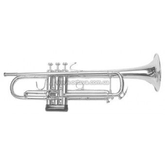 Труба Bach VBS1S