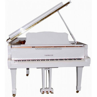 Акустический рояль Yamaha C2 PWH