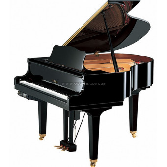 Акустический рояль Yamaha DGB1 KE3 PE