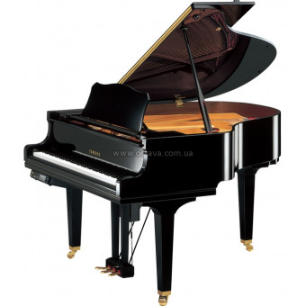 Акустический рояль Yamaha DGC1E3S PE