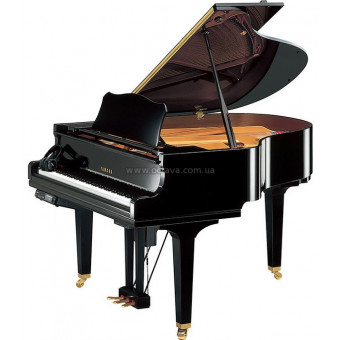 Акустичний рояль Yamaha DGC2E3S PE