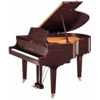 Акустичний рояль Yamaha GC1 SAW