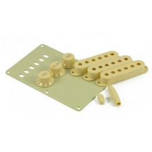 Гітарний комбік Fender Stratocaster Accessory Kit