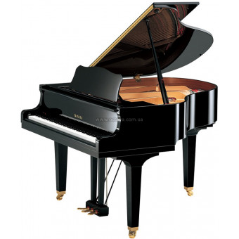 Акустичний рояль Yamaha GB1K PE