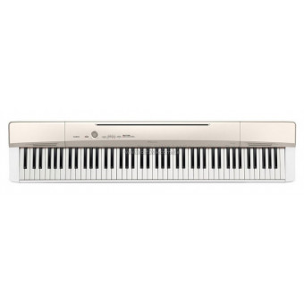 Цифровое пианино Casio PX-160GD