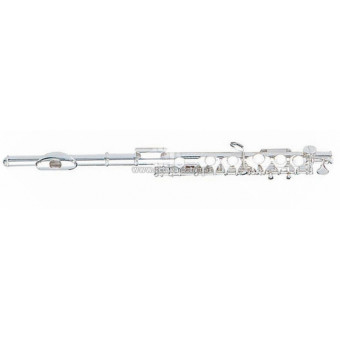 Флейта Maxtone TFC32S
