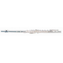 Флейта Maxtone TFC60S (TFC40S)