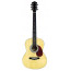 Акустическая гитара Maxtone WGC3902 BK