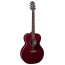 Електроакустична гітара Takamine EG430S WR