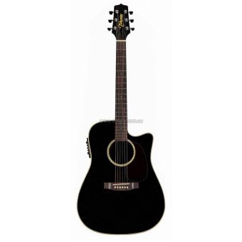 Електроакустична гітара Takamine EG531SSC