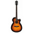 Электроакустическая гитара Ibanez AEG10II VS