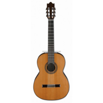 Классическая гитара Ibanez G500 NT