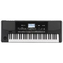 Аранжировочная рабочая станция Korg PA300