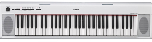 Yamaha Piaggero NP12