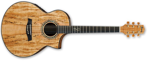 IBANEZ EW50SME NT IBANEZ EW50SME NT